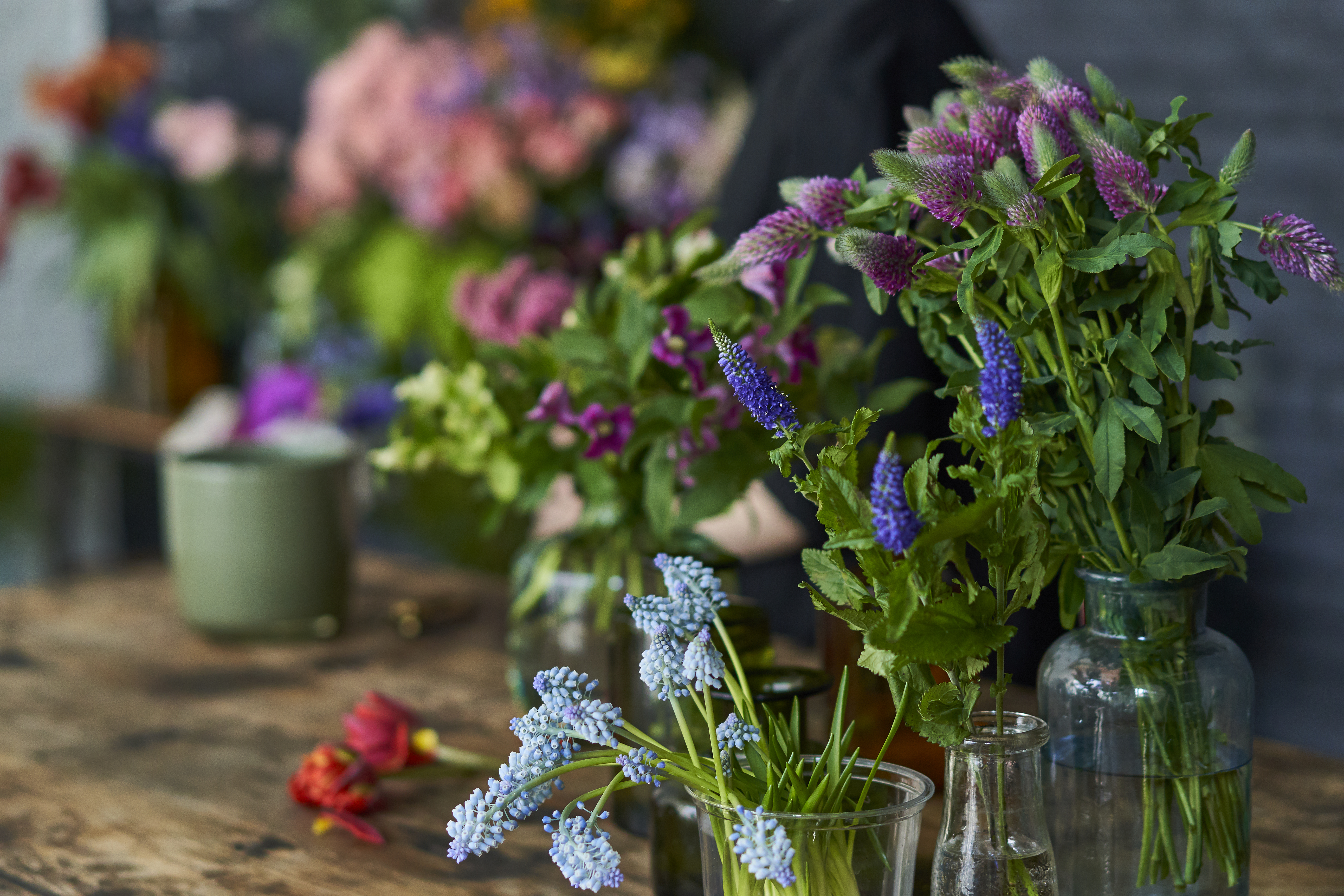 第一園芸 仙台トラストシティ店 | 仙台トラストシティ